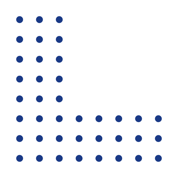 Custom Website Development